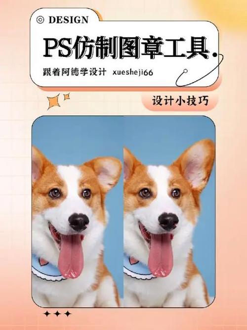 ps怎么使用仿制图章工具