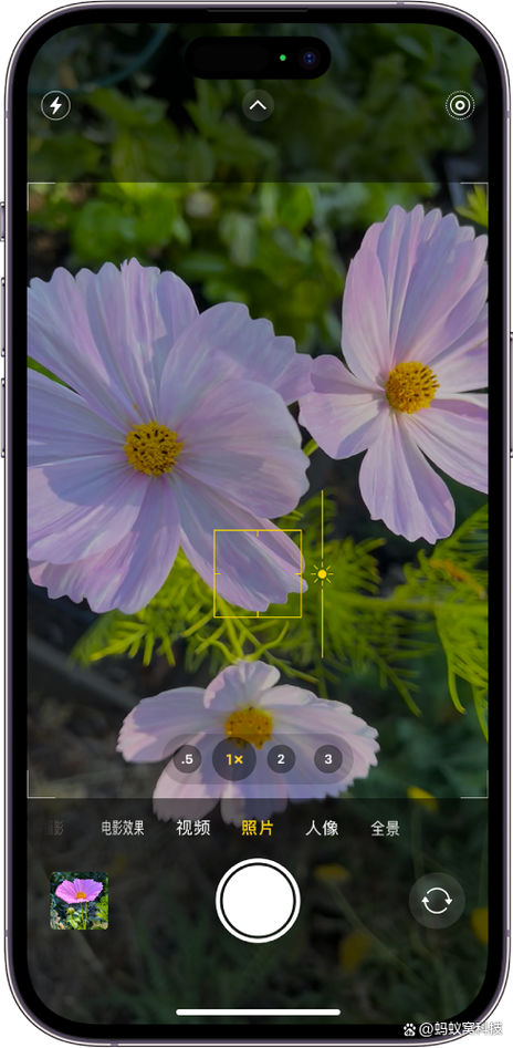 iPhone怎么拍视频
