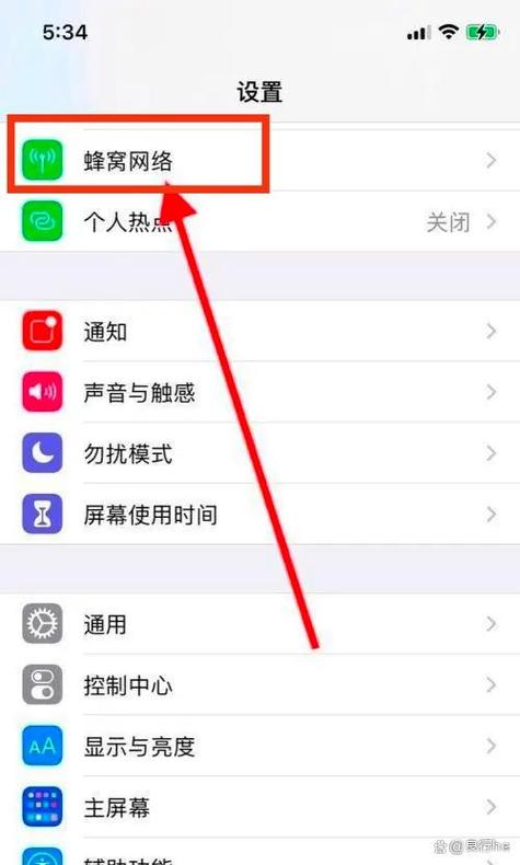 苹果网络类型cellular是什么意思