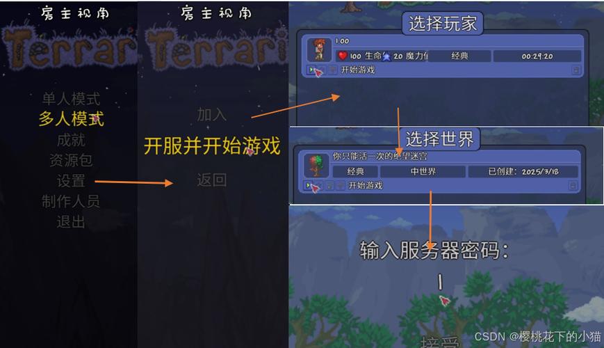 泰拉瑞亚联机卡的原因