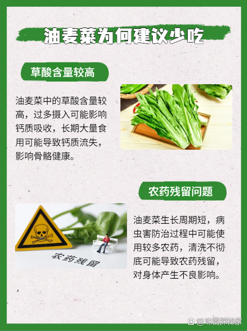 油麦菜什么人不能吃