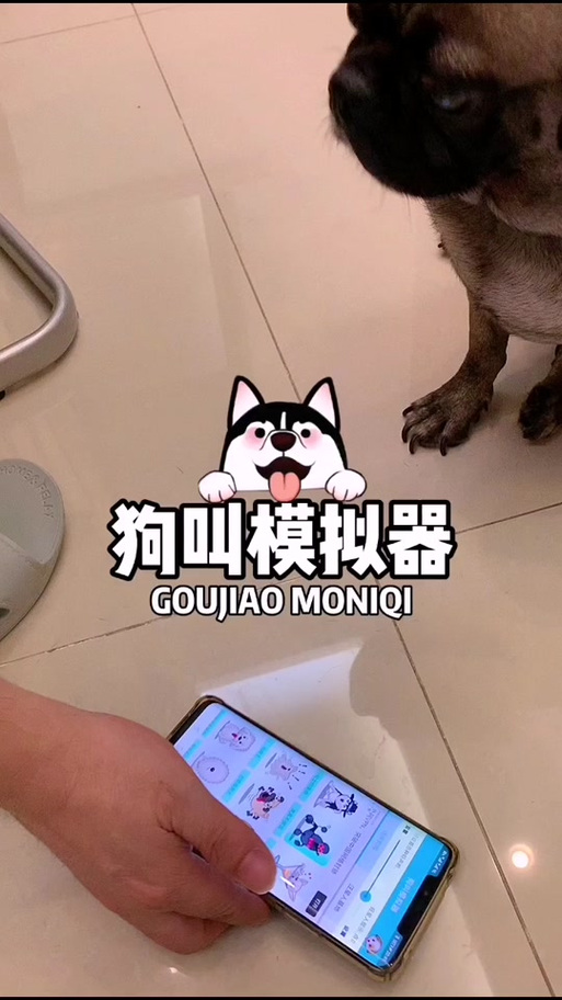 狗叫声模拟器mp3