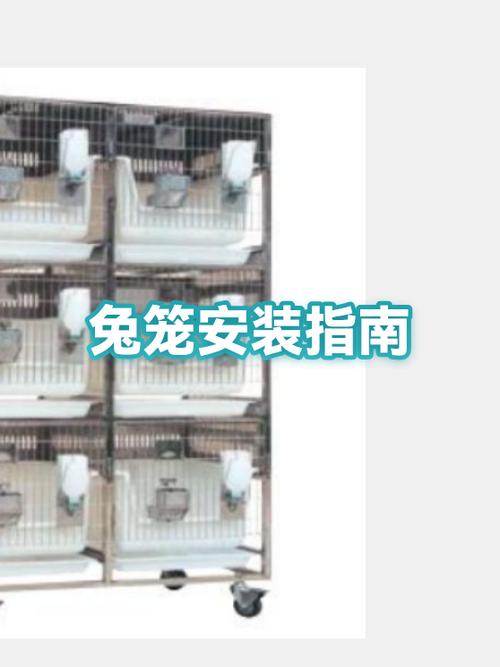 兔笼子安装方法
