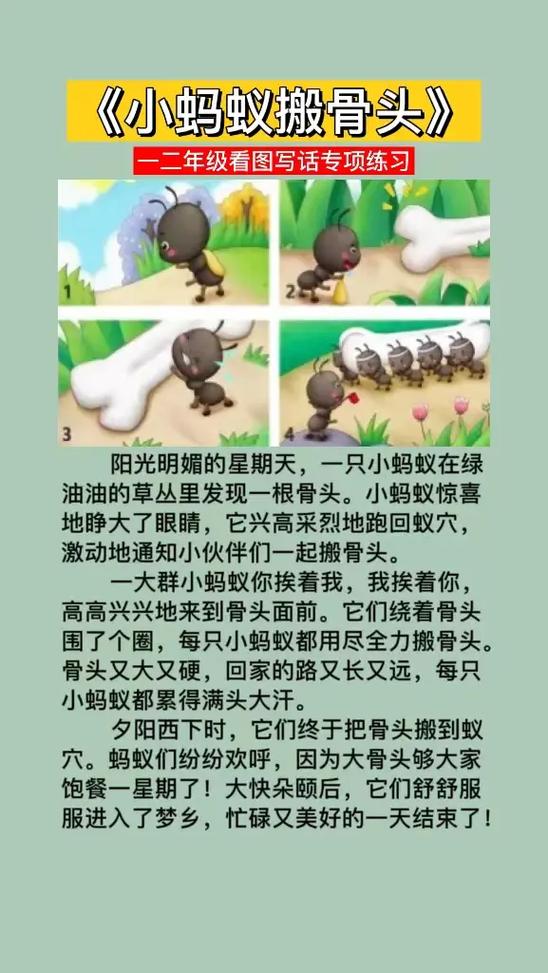 小蚂蚁