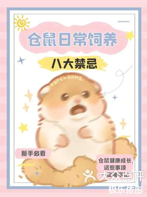 仓鼠可以几天不喂食