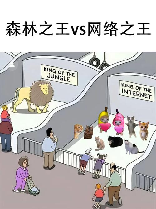 最近比较搞笑的梗