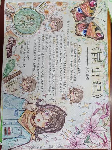 《昆虫记》昆虫档案