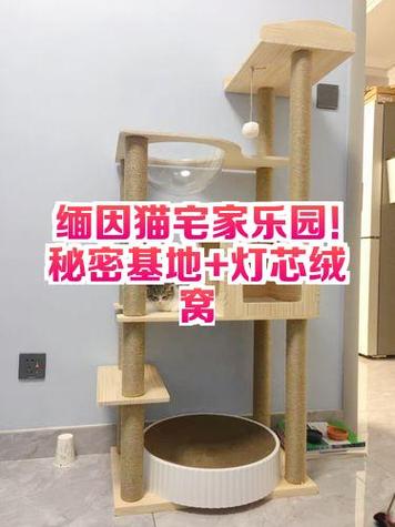 猫宅