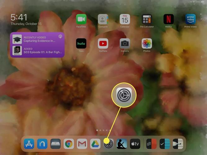 ipad缓存的视频在哪个文件夹