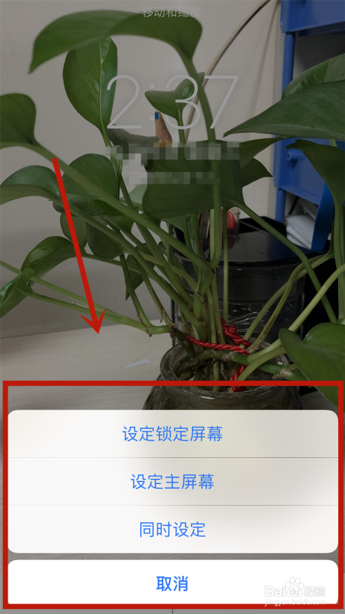 iphone11锁屏声音怎么调