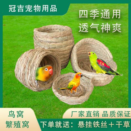 鹦鹉笼子里面要窝吗