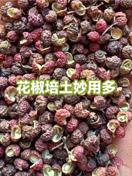 花椒树下的土有啥作用