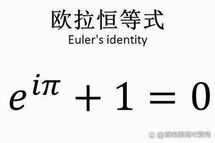 初一数学欧拉公式