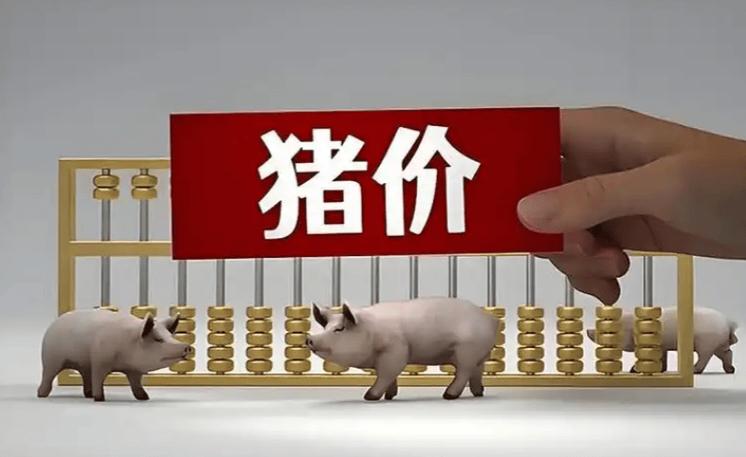 生猪期货怎么买
