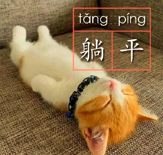 摆烂怎么回复