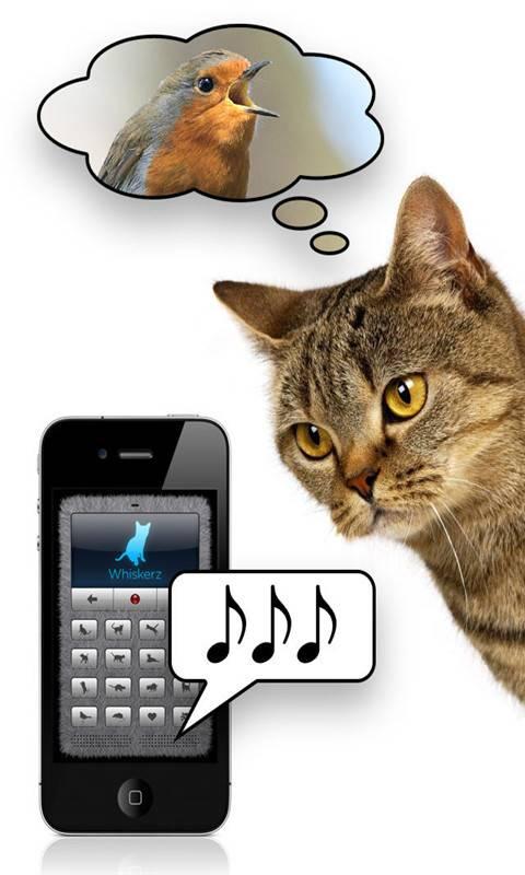 猫咪叫声翻译器