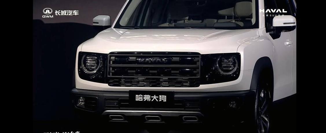 哈弗大狗2026款价格及图片大全