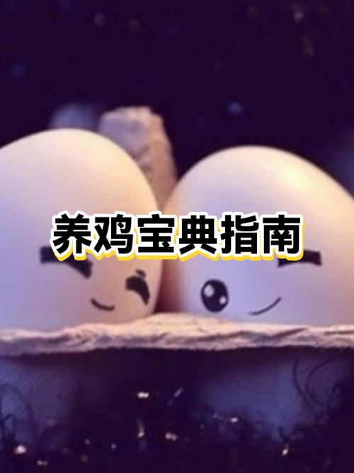 合作养鸡赚钱吗