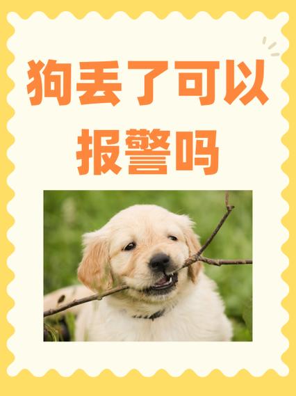 狗丢失了最有效方法找回来