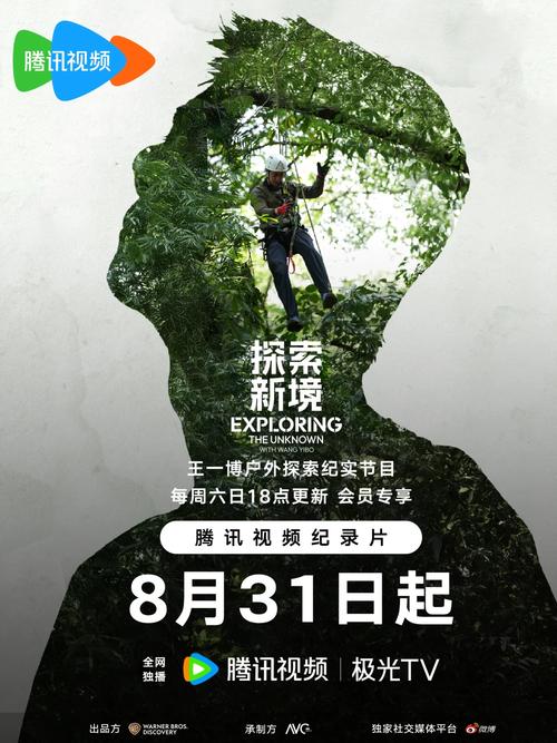 如何查看qq访客量