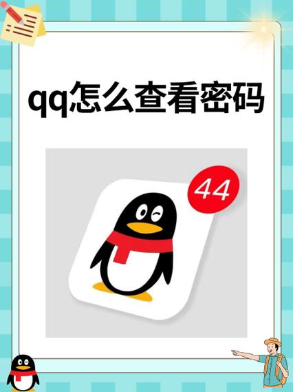 qq密码从哪儿能看到