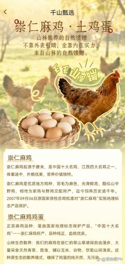 盛鑫网络科技有限公司