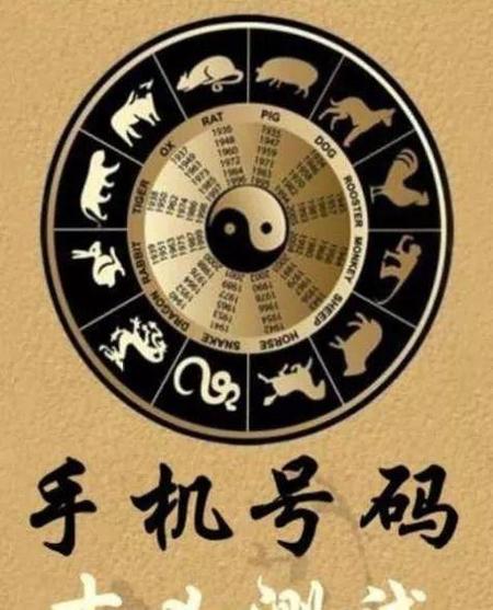 免费根据八字选手机号码