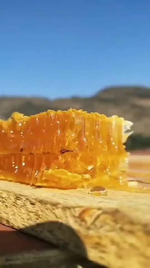 蜂蜜视频