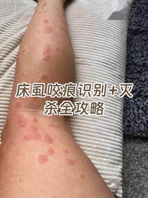 关联qq把记录删了还看得到吗
