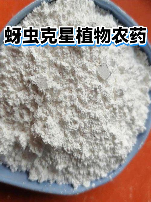 食蚜蝇