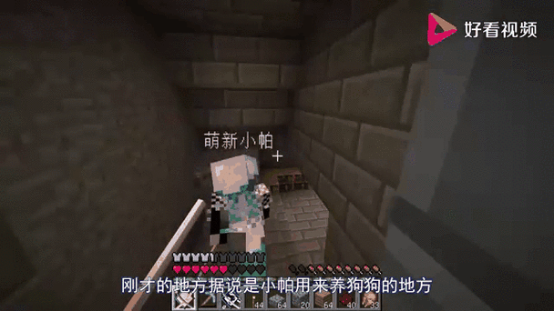 我的世界萌新小帕