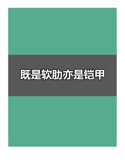 是我软肋也是我的铠甲