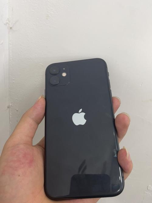 iphone11无面容是什么意思