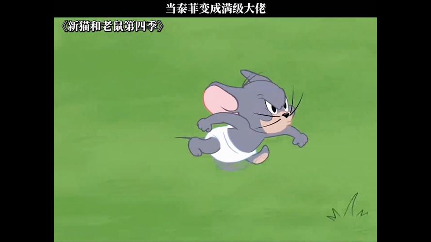 《新猫和老鼠》第6季