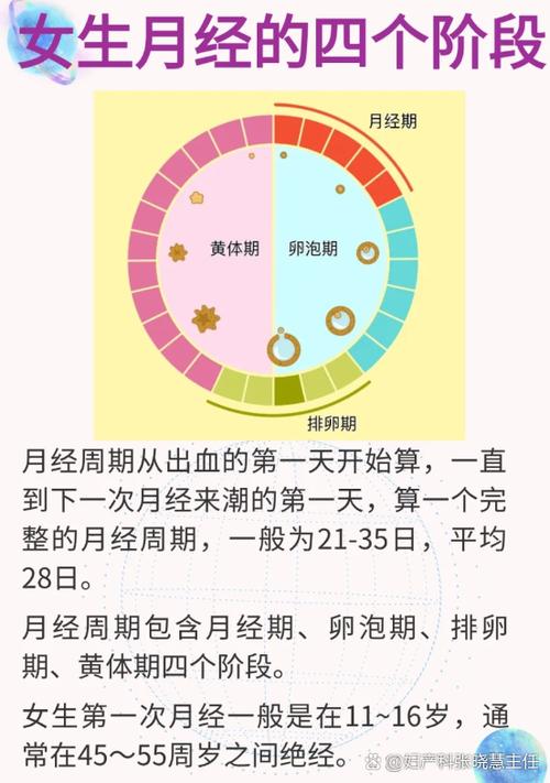 月经怎么算周期