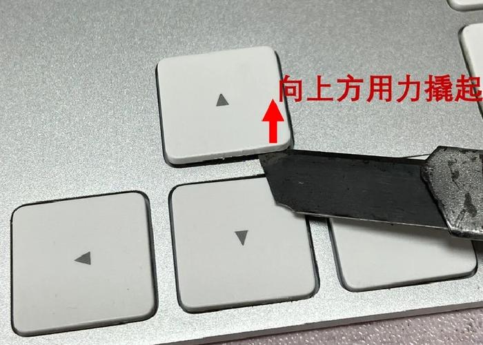 苹果键盘打字没声音了怎么回事