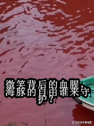 海豚湾分析