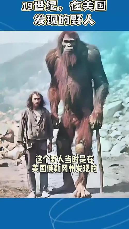 野人真实存在吗