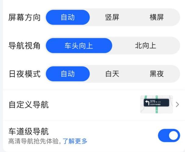 高德导航车道级导航怎么开启