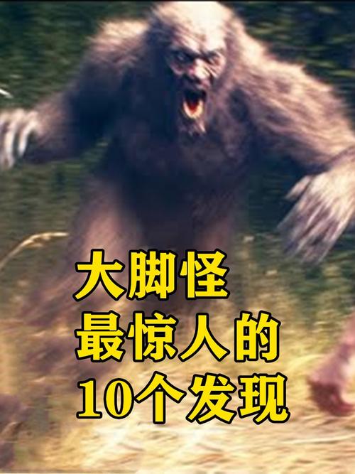 大脚怪真实存在吗