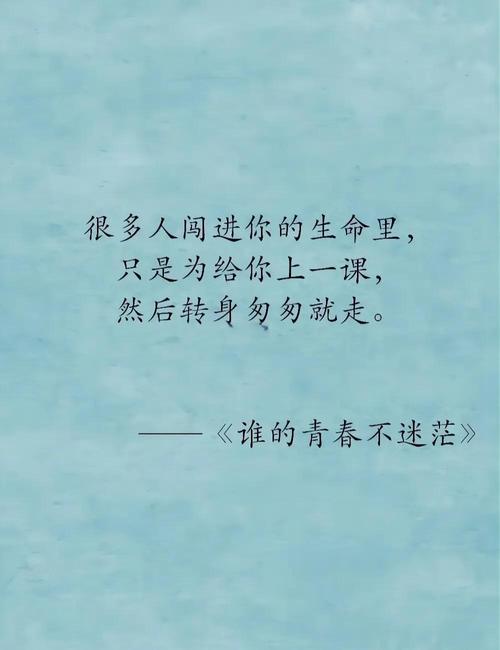 闲鱼以前的聊天记录