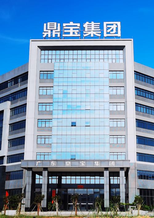 广东鼎宝集团有限公司