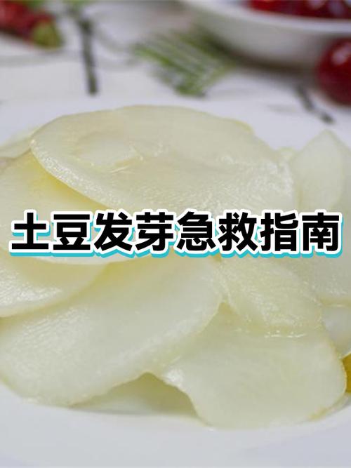 发芽土豆怎么处理才能吃