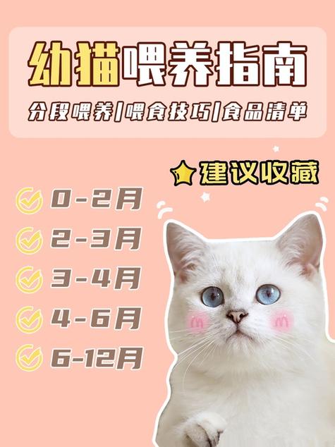 养6只猫运气会越来越差吗