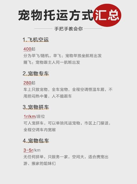 外地猫怎么寄回家