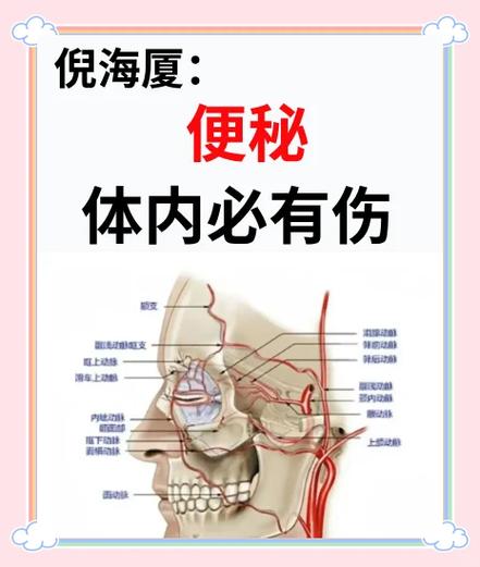 便秘的根本原因