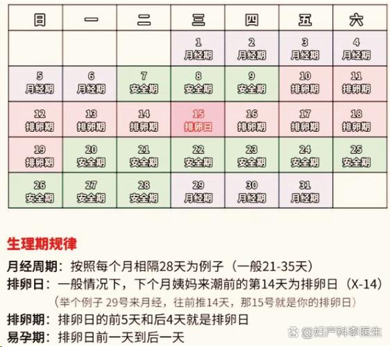 月经表安全周期计算
