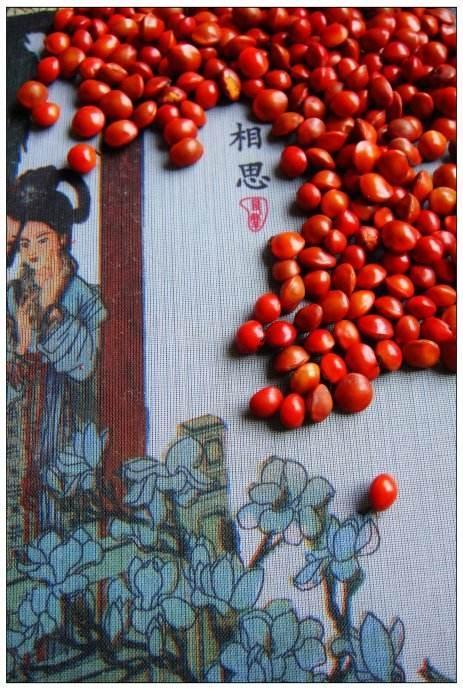 红豆就是红小豆吗