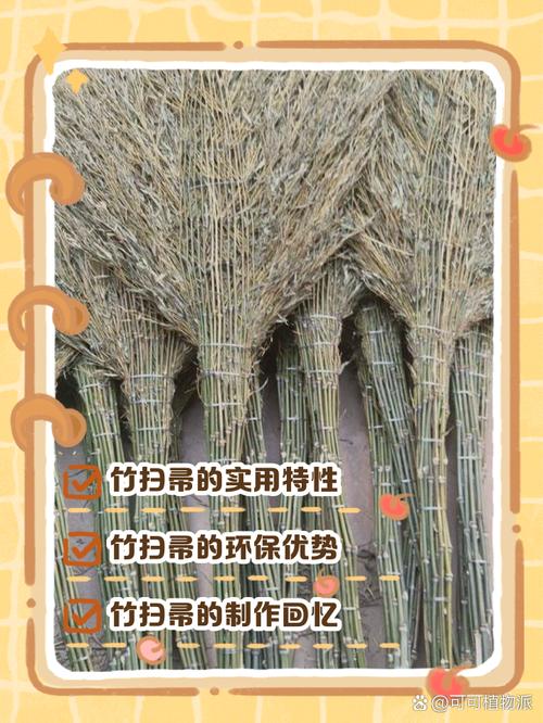 竹帮帮是干嘛的