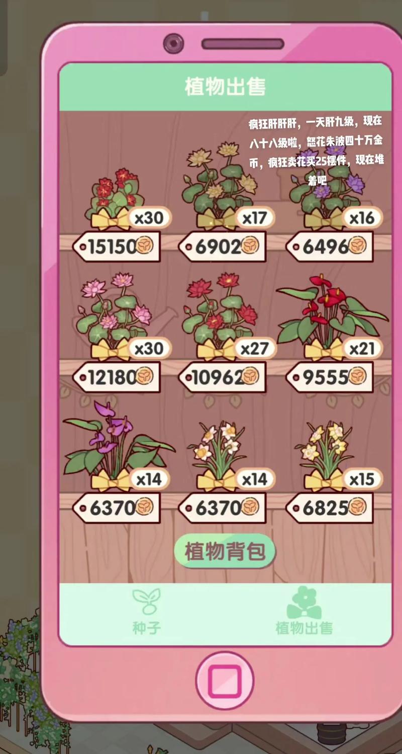 金币庄园成长值8级